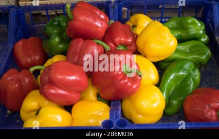 Peperoni in vendita al mercato all'aperto a Pisa, Toscana, Italia Foto Stock