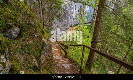 Fantastica escursione sulla Grunten in Allgau tramite il Burgberger Hornle e lo Starzlachklamm vicino a Sonthofen, Immenstadt Foto Stock