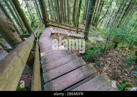 Fantastica escursione sulla Grunten in Allgau tramite il Burgberger Hornle e lo Starzlachklamm vicino a Sonthofen, Immenstadt Foto Stock