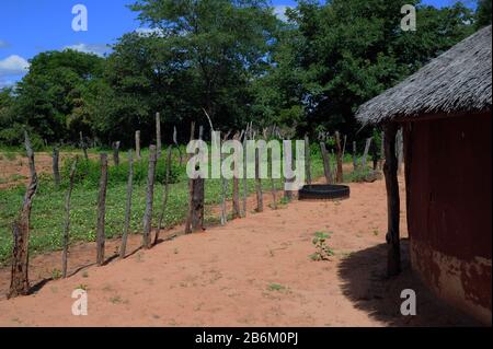 La vita quotidiana in un villaggio appartenente al gruppo etnico Matabele - appartengono al popolo Bantu (secessione dalla tribù Zulu), preso il 19/02/2020 | uso in tutto il mondo Foto Stock