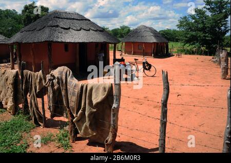 La vita quotidiana in un villaggio appartenente al gruppo etnico Matabele - appartengono al popolo Bantu (secessione dalla tribù Zulu), preso il 19/02/2020 | uso in tutto il mondo Foto Stock
