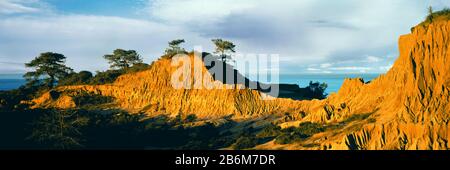 Formazioni Rocciose Su Un Paesaggio, Broken Hill, Torrey Pines State Natural Reserve, La Jolla, San Diego, San Diego County, California, Stati Uniti Foto Stock