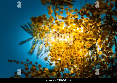 Scorcio Di Genova Boccadasse, Liguria, Mar Ligure, Italia Foto Stock