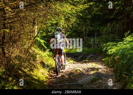 Ciclista (in bicicletta elettrica) su un ponte roccioso nella Foresta di Grizedale nel Distretto dei Laghi Inglese Foto Stock