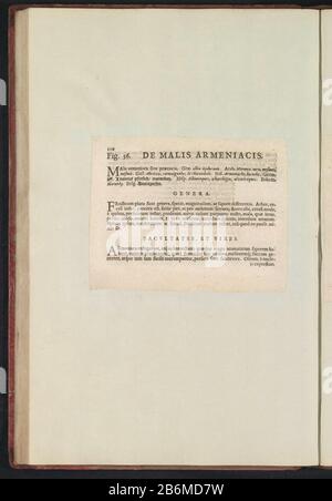 Figura 56 'De Malis Armeniacis' in De Boodts erbarium van 1640 Fig. 56 'The Malis Armeniacis' nell'erbario di Boodts 1640 Object Type : Text sheet numero articolo: RP-T-BR-2017-1-12-62 (V) Descrizione: Descrizione con riferimento alla fig. 56 a pag. 110: Anselmi Boëtii Boat I.C. Brugensis & Rodolphi II. Imp. Romanzo. Un cubicolo medico Florum, Herbarum, ac fruttuum selectiorum icones, e vires pleraeque hactenus ignotæ. Parte dell'album con fogli e piatti dell'erbario Boodts del 1640. I dodici dodici album di acquerelli di animali, uccelli e piante sono conosciuti intorno al 1600, commissionati Foto Stock