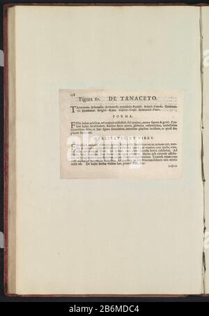 Figura 60 'De Tanaceto' in De Boodts erbarium van 1640 Fig. 60 'il tanaceto' nell'erbario di Boodts 1640 Object Type : Text sheet numero articolo: RP-T-BR-2017-1-12-66 (V) Descrizione: Descrizione con riferimento alla fig. 60 a pag. 118: Anselmi Boëtii Boat I.C. Brugine & Rodolphi II. Imp. Romanzo. Un cubicolo medico Florum, Herbarum, ac fruttuum selectiorum icones, e vires pleraeque hactenus ignotæ. Parte dell'album con fogli e piatti dell'erbario Boodts del 1640. I dodici dodici album di acquerelli di animali, uccelli e piante sono conosciuti intorno al 1600, commissionati dall'imperatore Rudol Foto Stock