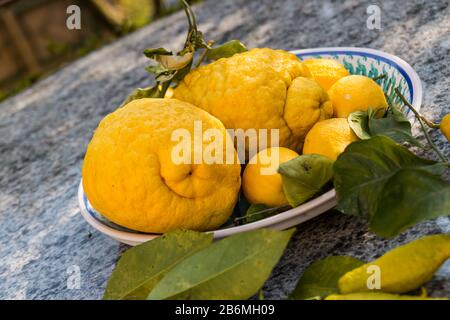 Istantanee della festa degli agrumi a Cannero Riviera, Verbania, Lago maggiore, Piemonte, Italia Foto Stock