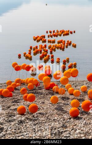 Istantanee della festa degli agrumi a Cannero Riviera, Verbania, Lago maggiore, Piemonte, Italia Foto Stock