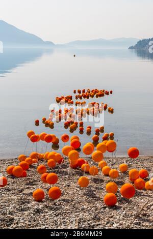 Istantanee della festa degli agrumi a Cannero Riviera, Verbania, Lago maggiore, Piemonte, Italia Foto Stock