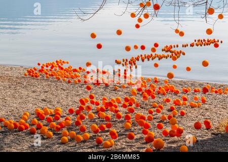 Istantanee della festa degli agrumi a Cannero Riviera, Verbania, Lago maggiore, Piemonte, Italia Foto Stock