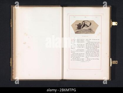 Riproduzione fotografica di una stampa ad un affresco della creazione della terra di Raffaello per le logge del Vaticano Erschaffung der Erde (oggetto del titolo) Tipo Di Proprietà: Pagina di riproduzione fotografica numero articolo: RP-F-2001-7 -763-6 Iscrizioni / marchi: Iscrizione, recto, stampato: '2. Bid. 1. Loge. No.2.' fabbricante : fotografo: Gustav Schauernaar stampa da: Anonimo a murale: Rafael Editore: Gustav SchauerPlaats fabbricazione: Berlino Data: 1851 circa - o per 1861 Materiale: Carta Tecnica: Albumen dimensioni di stampa: Foto: H 52 mm × W 107 mm Oggetto: I sei giorni di creazione (Genesi 1: 3-25) Foto Stock