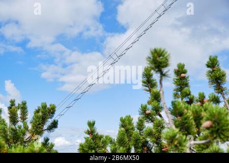 Scala a Intersport klettersteig Donnerkogel via ferrata, con ginepri in primo piano, in una giornata luminosa con nuvole bianche nel cielo. Foto Stock