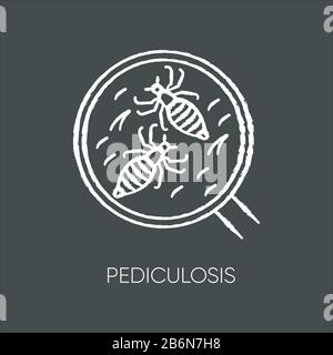 Pediculosi gesso bianco icona su sfondo nero. Problemi medici contagiosi, malattie epidemiche, pidocchi. Piccoli insetti sotto lente d'ingrandimento Illustrazione Vettoriale