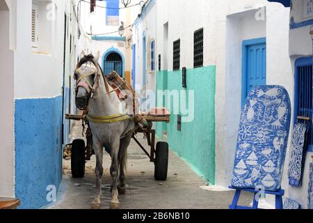 Cavaliere e tradizionale carrozza con cart nella strada stretta marocco Foto Stock