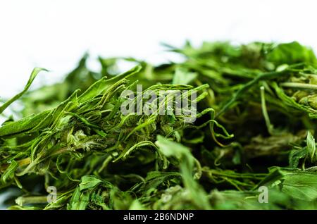 Foto macro di un grande mucchio di boccioli e foglie di marijuana Foto Stock