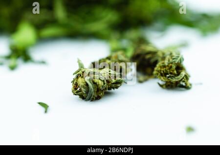 Foto macro di un grande mucchio di boccioli e foglie di marijuana Foto Stock