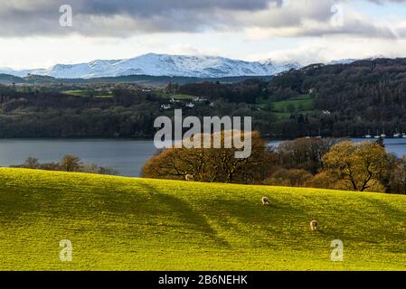 Vista da Blackwell su Windermere a Coniston Fells innevato nel Distretto dei Laghi Inglese Foto Stock