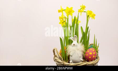Uova di Pasqua. Uova bianche in un cesto su sfondo bianco. Vista dall'alto. Fiori gialli. Narcisi. Banner. Spazio di copia. Inserire il testo Foto Stock