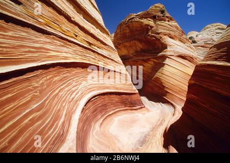 Geformte Sandsteinfelsen Der Paria Wilderness Foto Stock