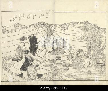 Gezelschap onder een kersenboom uomini e donne in un pic-nic sotto un albero in fiore, facendo le mani segnali l'uno all'altro. Due pagine, attaccate l'una all'altra, da un boek giapponese. Produttore : stampatore: Katsukawa ShunteiPlaats prodotto: Giappone Data: 1785 - 1820 caratteristiche Fisiche: Legno blocco materiale: Carta Tecnica: Legno blocco dimensioni: Foglio: H 253 mm × W 317 mm (larghezza totale dei due fogli) Subjectprivate festività, impresa allegra Foto Stock