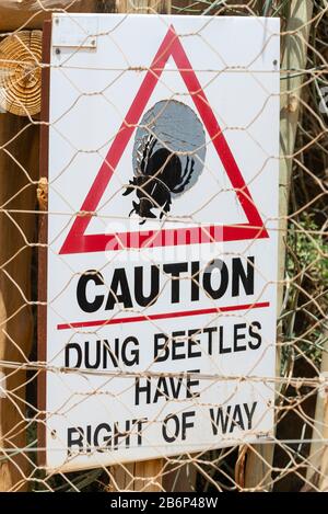 Cartello stradale che consiglia attenzione come Dung Beetles hanno diritto di strada nel Parco Nazionale Addo Elephant, Capo Orientale, Sud Africa Foto Stock