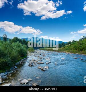 Foto di un bel fiume di montagna con una fitta foresta di Carpazi, in estate, in montagna Foto Stock