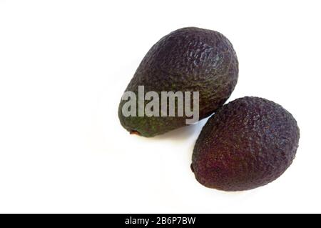 Avocado naturale appena raccolto dal frutteto. Foto Stock