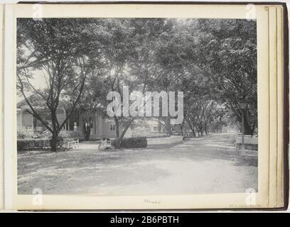 Gezicht op Sociëteit Klambir, Langkat Sumatra Oggetto tipo : foto Objectnummer: RP-F-2003-103-42 Produttore : fotografaf: H. Ernst & CoPlaats fabbricante: Bindjai Langkat Dating: CA. 1890 - ca. 1900 Kenmerken Fisici: Papier op karton Materiale: Fotopapier karton Techniek: Platinadruk dimensioni: Foto: H 222 mm × b 306 mmOnderwerp Foto Stock