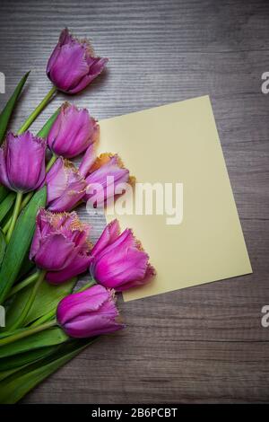 Bellissimi tulipani di colore diverso in cornici, mock up o in composizione interna in vacanze di primavera Foto Stock