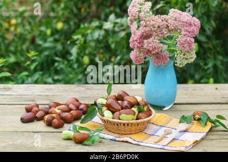 Cesto di vimini con frutta Ziziphus real, capiente, jujube, data cinese, capiinit, jojoba, cinese-date e un vaso con un prominente stonecrop (lat. Hy Foto Stock