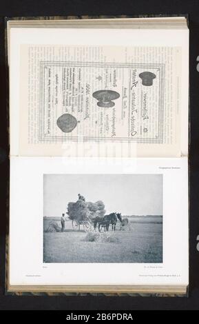 Gezicht op boeren die oogst op een paardenkar tillen Ernte (titel op object) Vista di agricoltori che raccolgono su una tillenerte trafilata a cavallo Ernte (title object) Tipo Di Proprietà: Fotomeccanica stampa pagina numero articolo: RP-F 2001-7-968-3-123 Iscrizioni / marchi: Monogramma, recto, stampato: 'Raco'ooppschrift, produttore, Nachveruck': Nachverbata': Dr. A. Vianna de Lima (edificio elencato) clichémaker sconosciuto (edificio elencato) stampante: Wilhelm Knapp Verlag (edificio elencato) Editore: Wilhelm Knapp Verlag (proprietà elencate) Fabbricazione Di Posti: Halle an der Saal Data: CA. 1895 - in o per 1 Foto Stock