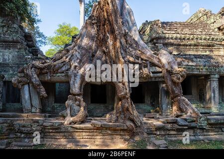 Tempio Di Preah Khan Vicino Ad Angkor Wat In Cambogia Foto Stock