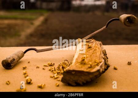 Falegnami su un palo di legno in attesa di essere utilizzato su un progetto Foto Stock