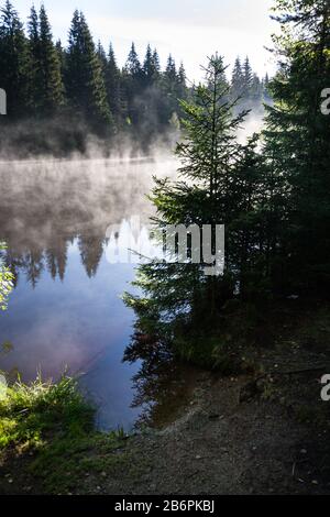 Mattina si torce sulla superficie dello stagno di Pohorsky conosciuto come riserva di Jiricka vicino a Pohorska Ves, Novohradske Mountains, Cesky Krumlov District, cechi Foto Stock