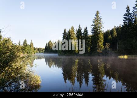 Mattina si torce sulla superficie dello stagno di Pohorsky conosciuto come riserva di Jiricka vicino a Pohorska Ves, Novohradske Mountains, Cesky Krumlov District, cechi Foto Stock