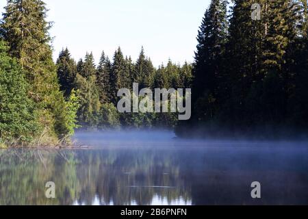 Mattina si torce sulla superficie dello stagno di Pohorsky conosciuto come riserva di Jiricka vicino a Pohorska Ves, Novohradske Mountains, Cesky Krumlov District, cechi Foto Stock