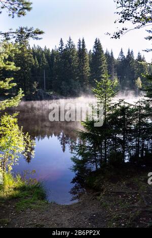 Mattina si torce sulla superficie dello stagno di Pohorsky conosciuto come riserva di Jiricka vicino a Pohorska Ves, Novohradske Mountains, Cesky Krumlov District, cechi Foto Stock