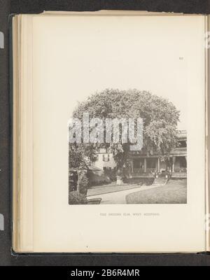 Gezicht op een iep voor een woonhuis te Medford The Brooks elm, West Medford (titel op Object) Vista di un elm per una casa a MedfordThe Brooks elm, West Medford (title Object) Tipo Di Proprietà: Fotomeccanica stampa numero articolo: RP-F 2001-7-1063-12 Iscrizioni / marchi: Numero, stampato 'XII.': Produttore. Fotografo: Henry Brooksclicichémaker: Anonymous place manufacture: Fotografo: Medfordclichémaker: USA Data: 1880 - o 1890 Materiale: Carta Tecnica: Misure di pressione leggera: Impresso: H 212 mm × W 176 mmToelichtingFoto per pagina 37. Oggetto: Alberi: elmfaçade (o. Foto Stock