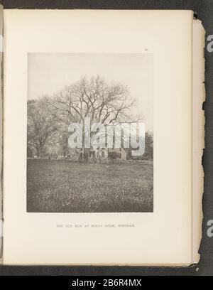 Gezicht op een iep voor een huis te Hingham il vecchio elm a Rocky Nook, Hingham (titel op Object) Vista di un elm per una casa a HinghamThe Old Elm a Rocky Nook, Hingham (title Object) Tipo Di Proprietà: Fotomeccanica stampa pagina numero articolo: RP-F 2001-7-1063-4 Iscrizioni / marchi: No. , recto, stampato: 'IV.' Produttore : fotografo: Henry Brooksclichémaker: Anonymous produzione luogo: Fotografo: Hinghamclichémaker: USA Data: 1880 circa - o per 1890 Materiale: Carta Tecnica: Misure di pressione leggera: Impresso: H 222 mm × W 175 mmToelichtingFoto dopo pagina 30. Oggetto: Alberi: elmfaç Foto Stock