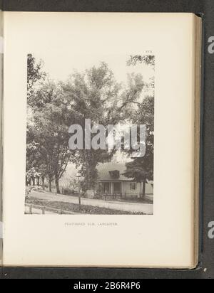 Gezicht op een iep naast een woonhuis te Lancaster Feathered elm, Lancaster (titel op Object) Vista di un albero di elmo oltre ad una casa di abitazione di LancasterFeathered elm, Lancaster (title Object) Tipo Di Oggetto: Stampa fotomeccanica numero Oggetto: RP-F-2001-7-1063-17 Iscrizioni / marchi: Numero, recto, stampato 'XVII.': Produttore: Henry Brooksclicichémaker: Anonymous place manufacture: Photographer: Lancasterclichémaker: USA Date: About 1880 - or for 1890 Material: Paper Technique: Light pressure measurements: Imprinted: H 222 mm × W 177 mmToelichtingFoto after page 42 Foto Stock