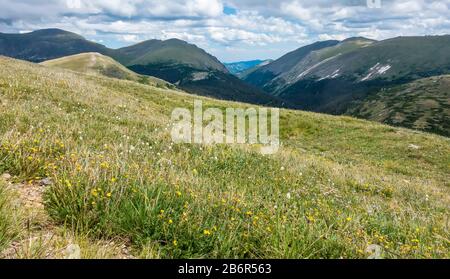Grassland, Rocky Mountain National Park, Colorado, Stati Uniti D'America Foto Stock