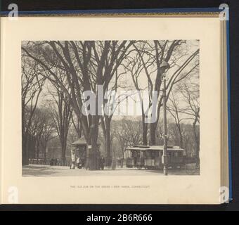 Gezicht op een oude iep in het New Haven Green The Old Elm on the Green - New Haven, Connecticut (titel op Object) Vista di un vecchio elm in New Haven GreenThe Old Elm on the Green - New Haven, Connecticut (title Object) Tipo Di Proprietà: Fotomeccanica stampa pagina numero articolo: RP-F 2001-7-996-30 Manufacturer : creator: Anonymous Place manufacture: New Haven Dating: CA. 1883 - o per 1893 Materiale: Carta Tecnica: Misure di pressione leggera: Impresso: H 145 mm × W 190 mm Oggetto: Alberi: Giardini di elmpublic, parco dove New Haven Foto Stock