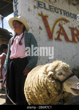 Celendin, Perù. Donna andina che indossa cappello da sombrero che vende le sue pecore sul mercato settimanale degli animali. Febbraio 2010 Foto Stock