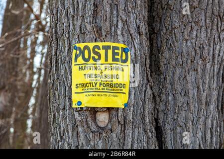 No Trespassing Sign nailed to Tree, USA, by James D Coppinger/Dembinsky Photo Assingo Foto Stock