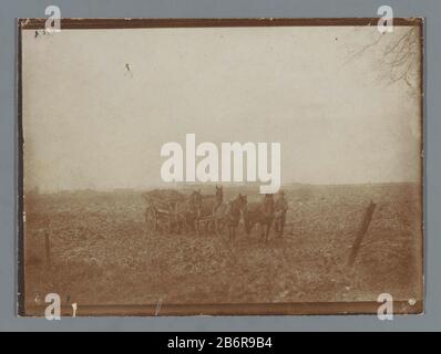 Gezicht op een weiland met een boer en een paardenkar Visualizza di un campo con un agricoltore e un tipo di oggetto disegnato a cavallo: Picture numero articolo: RP-F F20815 Produttore : fotografo: Anonymous Place produzione: Netherlands Data: CA. 1895 - ca. 1910 Materiale: Carta Tecnica: Daglichtcollodiumzilverdruk dimensioni: Foto: H 88 mm × W 120 mm Oggetto: Prato, pasturefarmersveicolo a quattro ruote disegnato da più di tre animali Foto Stock