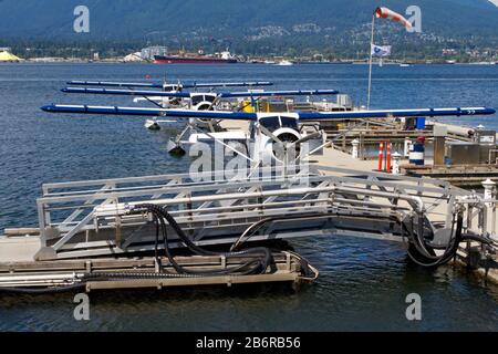Tre idrovolanti Harbour Air DHC-3 de Havilland Turbine Single Otter a Coal Harbour, Vancouver, BC, Canada Foto Stock