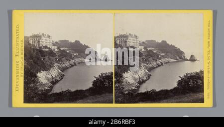 Gezicht op het Imperial Hotel langs de kust bij Torquay Torquay-Imperial Hotel, da Beacon Hill (titel op Object) Vista dell'Imperial Hotel lungo la costa al TorquayTorquay-Imperial Hotel, da Beacon Hill. (Oggetto del titolo) Tipo Di Proprietà: Immagine stereo numero articolo: RP-F F04653 Iscrizioni / marchi: Numero, recto, stampato: '1868.'opschrift, recto, stampato: Devonshire Illustrato. Di Francis Bedford.'opschrift, vero, scritto a mano: 'F. J.' fabbricante : fotografo: Francis Bedford (inserito nell'elenco delle proprietà) Fabbricazione Del Luogo: Torquay Dating: CA. 1850 - ca. 1880 caratteristiche Fisiche: Mater di stampa albumen Foto Stock