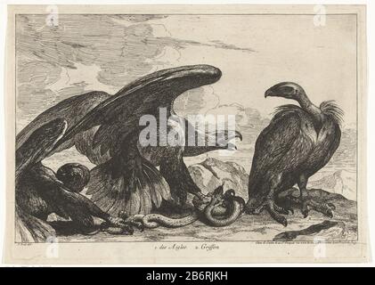 Gier en een arend met slang 1 des Aigles 2 Griffon (titel op object) Vogels uit de menagerie van Versailles (seriettel) In un paesaggio roccioso che combatte un'aquila e un avvoltoio per un slang. Produttore : stampatore: Peeter Boel (attribuito a) al disegno: Peeter Boel (edificio elencato) editore: Gérard Scotin (i ) (edificio elencato) fornitore di privilegio: Louis XIV (re di Francia) (edificio elencato) Luogo fabbricazione: Parigi Data: 1670 - 1674 Caratteristiche Fisiche: Materiale di attacco: Tecnica della carta: Dimensioni di attacco: Bordo della piastra: H 250 mm × W 355 mm Soggetto: Uccelli predatori: Uccelli rapaci: Vult Foto Stock