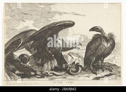 Gier en een arend met slang 1 des Aigles 2 Griffon (titel op object) Vogels uit de menagerie van Versailles (seriettel) In un paesaggio roccioso che combatte un'aquila e un avvoltoio per un slang. Produttore : stampatore: Peeter Boel (attribuito a) al disegno: Peeter Boel (edificio elencato) editore: De Poilly (oggetto elencato) fornitore di privilegio: Louis XIV (re di Francia) (edificio elencato) Luogo produzione: Parigi Data: 1670 - 1674 caratteristiche Fisiche: Materiale di incisione: Tecnica della carta: Dimensioni di incisione: Foglio: H 250 mm × W 358 mm Soggetto: Uccelli predatori: Uccelli predatori: Vulture Foto Stock