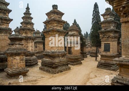 Le tombe di mattoni di eminenti monaci nella Pagoda Forest Cemetery presso il Tempio Shaolin. Il Tempio Shaolin nella famosa per kungfu ed è vicino a Dengfeng nel Henan Provin Foto Stock